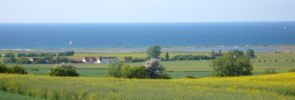 Blick über die Ostsee bei Rerik.